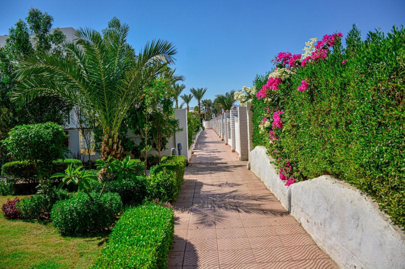 Desert View Sharm Hotel Dış mekan fotoğraf